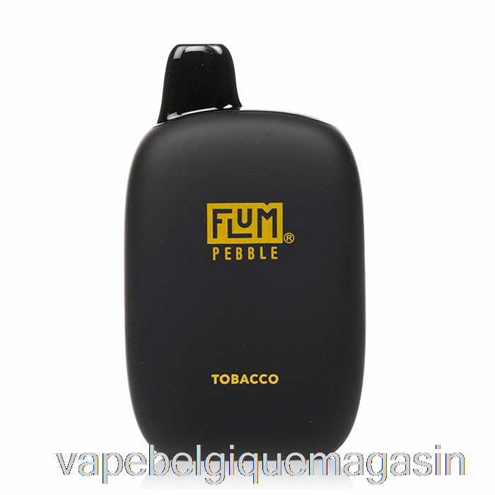 Vape Belgique Flum Pebble 6000 Tabac Jetable